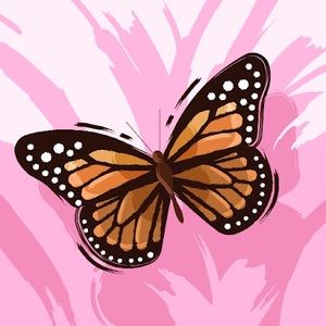 Meet your Posher, Synthia ileen